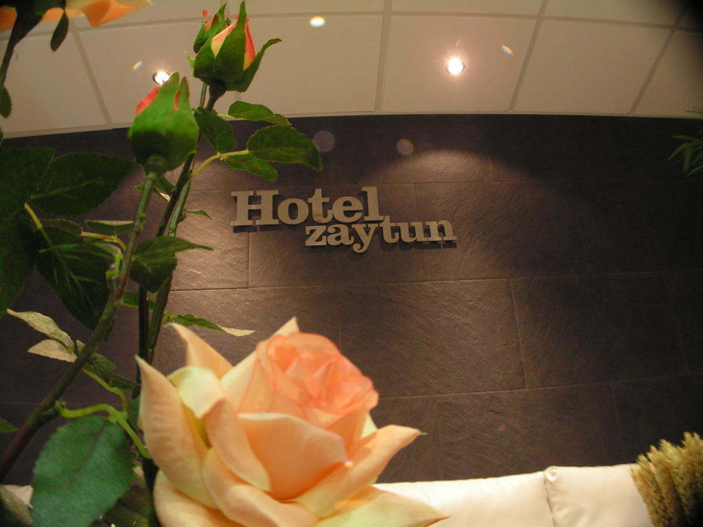 Hotel Zaytun Мекиненса Экстерьер фото